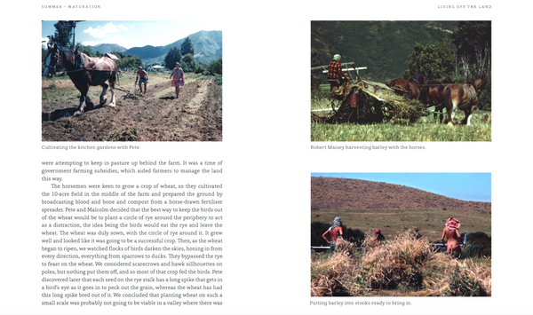Commune: Chasing a Utopian Dream in Aotearoa