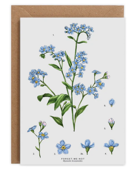 Forget Me Not Card