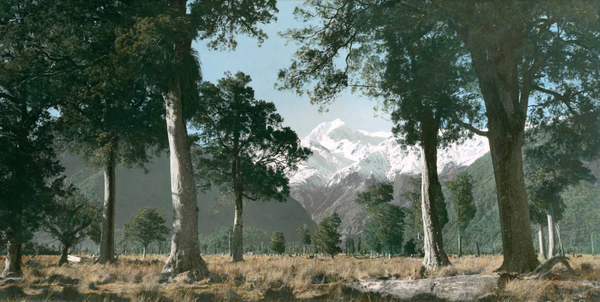Wonderland: The New Zealand Photographs of Whites Aviation