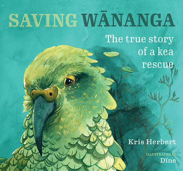 Saving Wānanga: The true story of a kea rescue