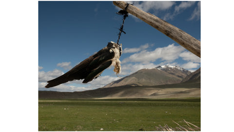 Yurt Talisman, Mongolia