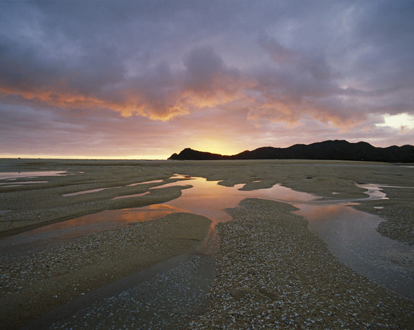 Awaroa Headlands