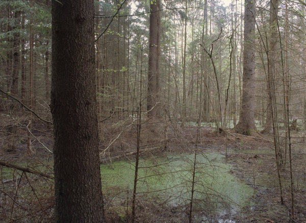 Poland I