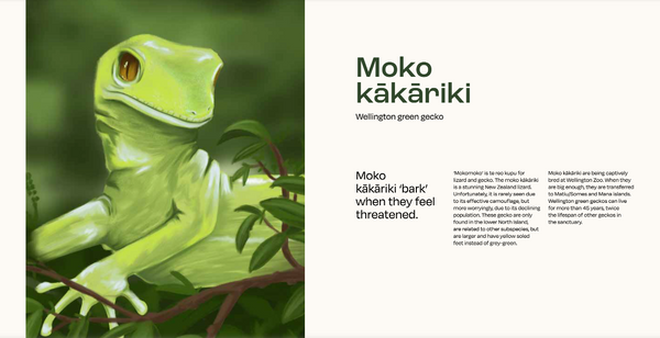 Tiaki: A Shout-Out to Aotearoa's Lesser Known Creatures