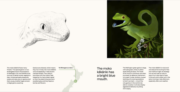 Tiaki: A Shout-Out to Aotearoa's Lesser Known Creatures