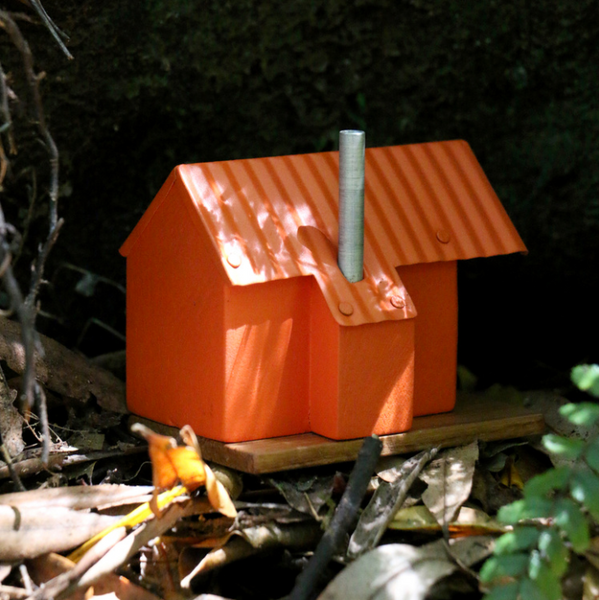 Mount Brown Hut - Lake Kaniere, West Coast