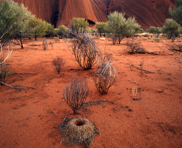 Uluru II