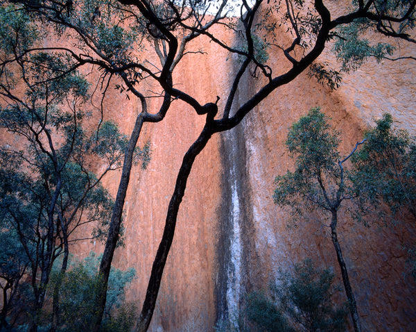 Uluru I