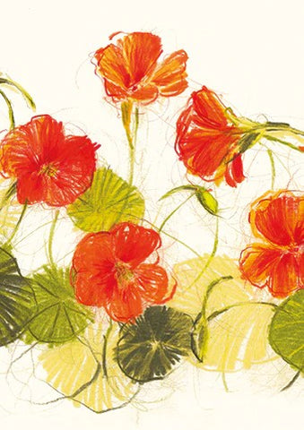 Bloom - Claudia Lowry