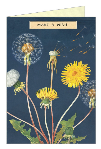 Make a Wish Card