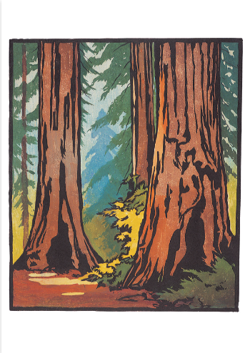 Arts & Crafts William S. Rice Block Prints - 20 Pkt Boxed Notecards