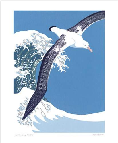 Wandering Albatross Greeting Card
