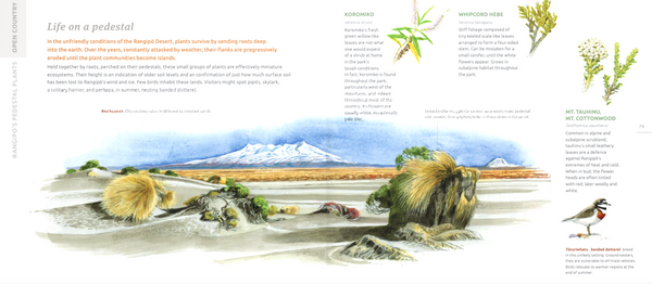 Tongariro National Park: An Artist's Field Guide