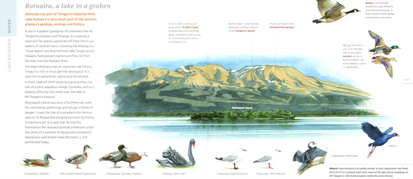 Tongariro National Park: An Artist's Field Guide