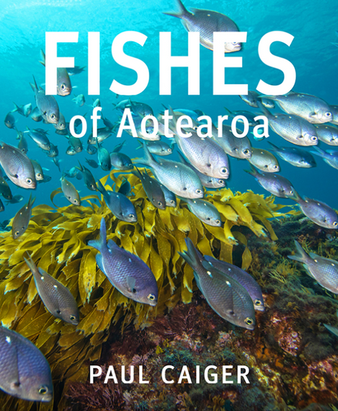 Fishes of Aotearoa