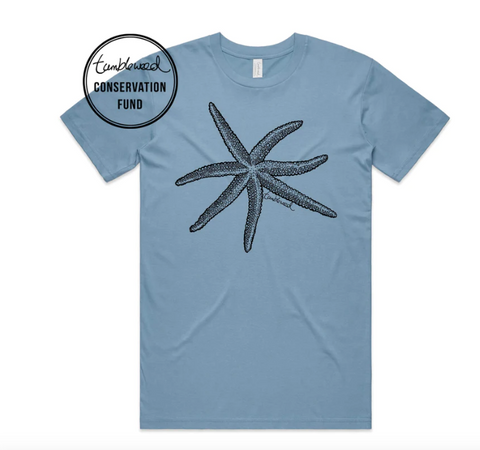 Starfish T-Shirt - Womens (Blue)