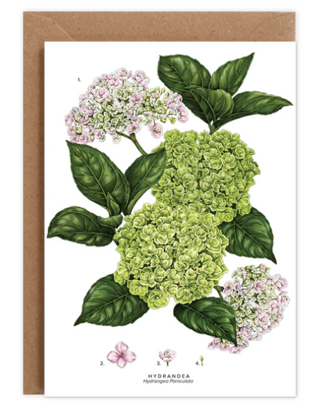 Hydrangea Card