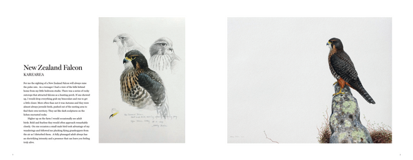 Drawn to the Wild: Paintings of New Zealand Birds