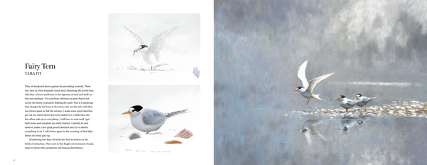 Drawn to the Wild: Paintings of New Zealand Birds