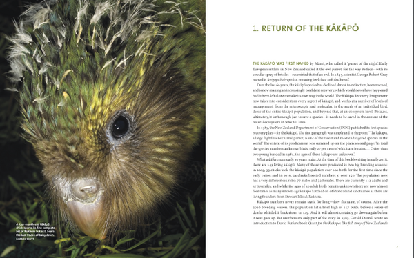 Kākāpō