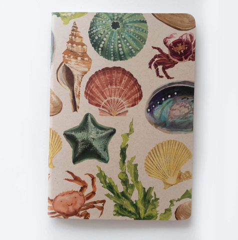 Painted Beach Notebook - Blank