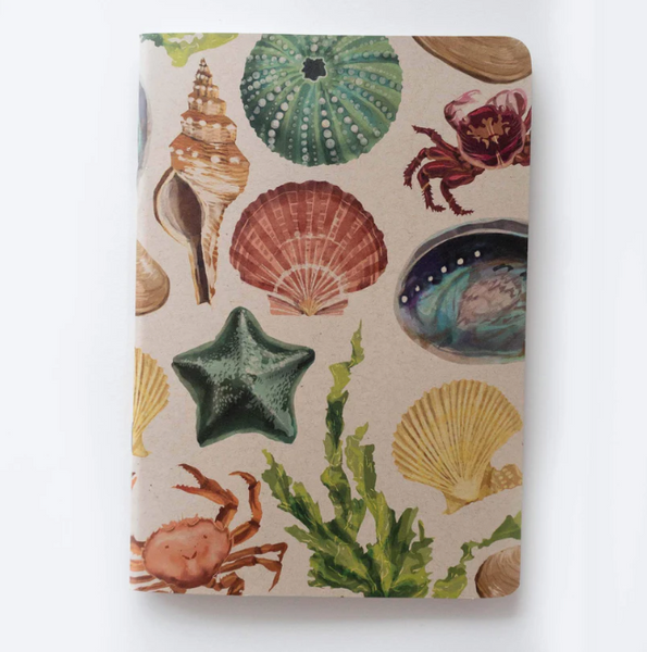 Painted Beach Notebook - Lined
