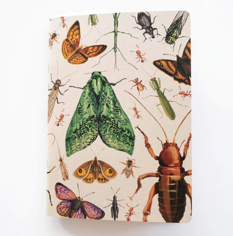 Painted Insect Notebook - Blank