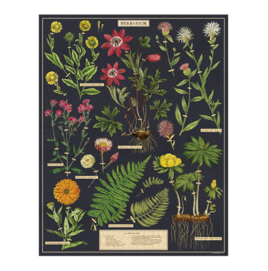 Herbarium - 1000 Pce Vintage Puzzle