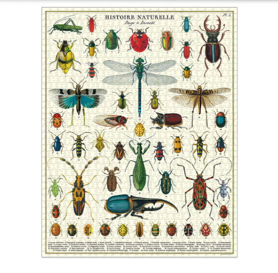 Bugs & Insects - 1000 Pce Vintage Puzzle