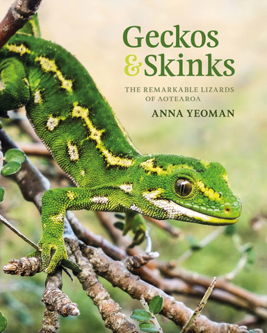 Geckos & Skinks: The remarkable lizards of Aotearoa