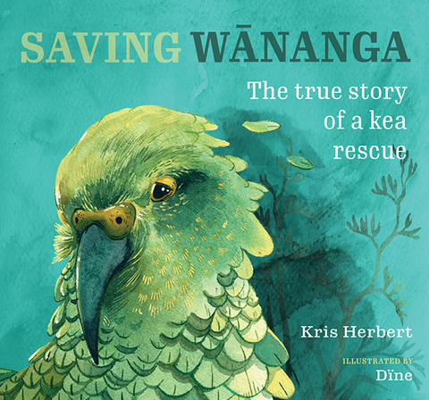 Saving Wānanga: The true story of a kea rescue