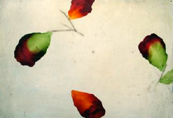 Untitled (Anawhata) - 2003