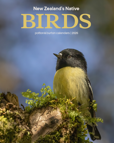 2026 New Zealand's Native Birds Calendar
