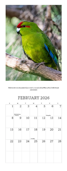 2026 New Zealand's Native Birds Calendar