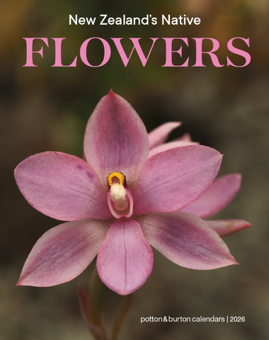 2026 New Zealand's Native Flowers Calendar