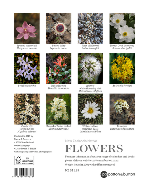 2026 New Zealand's Native Flowers Calendar