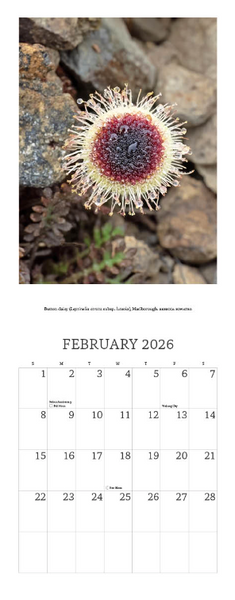 2026 New Zealand's Native Flowers Calendar