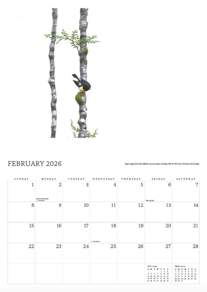 2026 Nicolas Dillon Paintings of New Zealand Birds Calendar
