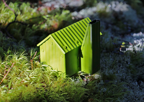 Kotepato Hut Mini Hut - Waioeka Conservation Area, Bay of Plenty