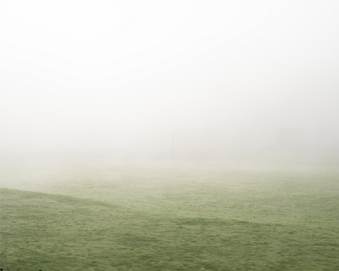 Morning Mist