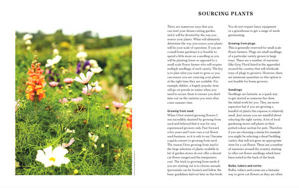 The Floral Dream: A Guide to Growing Cut Flowers in New Zealand