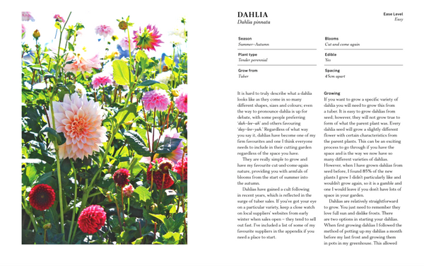 The Floral Dream: A Guide to Growing Cut Flowers in New Zealand
