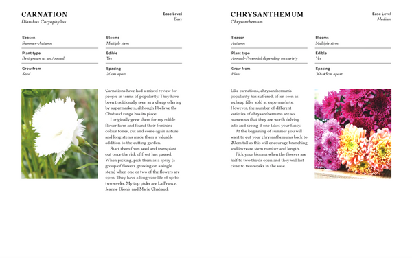 The Floral Dream: A Guide to Growing Cut Flowers in New Zealand