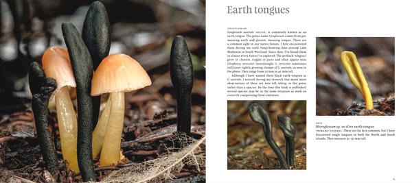 A Hidden World: Discovering the Beauty of New Zealand Fungi
