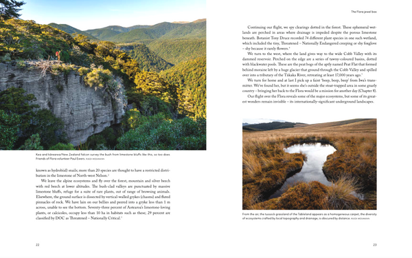 Caring for Kahurangi: The inspiring story of Friends of Flora