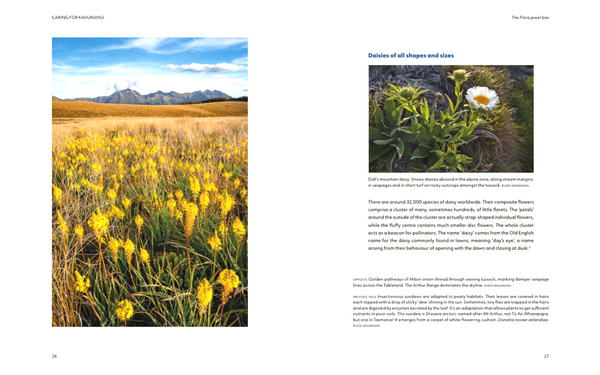 Caring for Kahurangi: The inspiring story of Friends of Flora