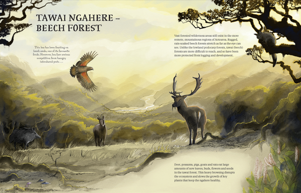 Rakau: The Ancient Forests of Aotearoa