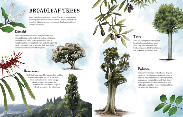 Rakau: The Ancient Forests of Aotearoa