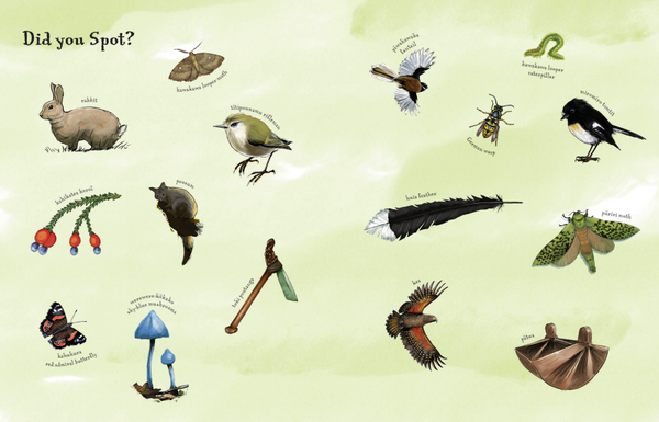 Rakau: The Ancient Forests of Aotearoa