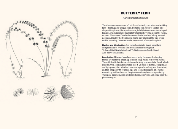 Te Papa Te Taiao Nature Series (Boxed Set) - The Ultimate Introduction to the Natural History of Aotearoa